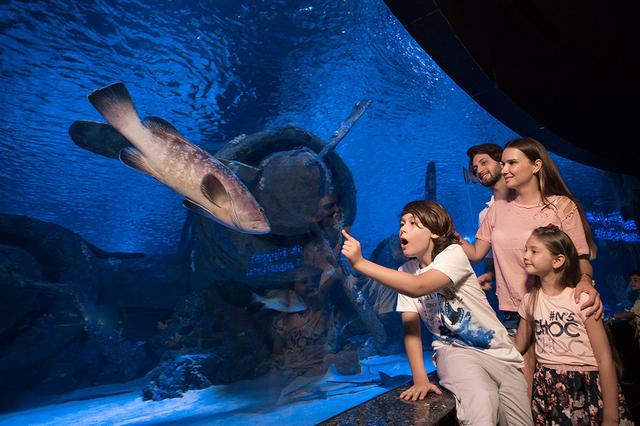 Antalya Aquarium tours